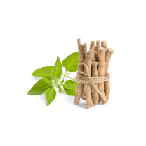 Ashwagandha Root