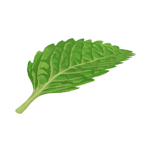 Menthol