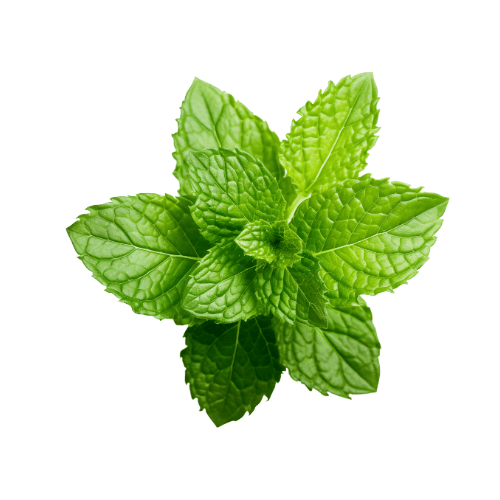 Peppermint